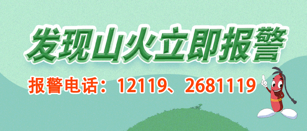 如何在比赛中发现和发展球员潜力_2